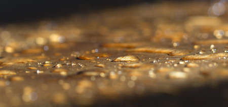 a drop of water golden flowers, on a yellow surface during sunset