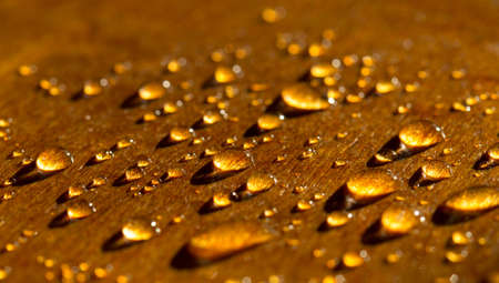 a drop of water golden flowers, on a yellow surface during sunsetの写真素材