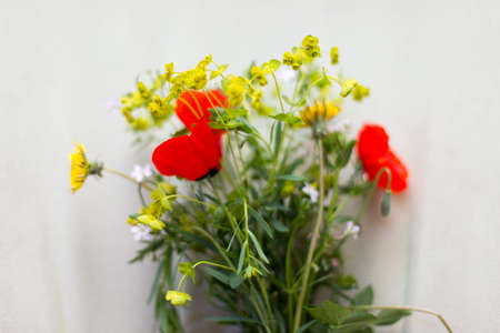 bright wild flowers on a jug