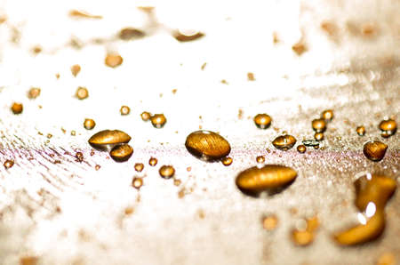 background bokeh, a drop of water golden flowers during sunsetの写真素材