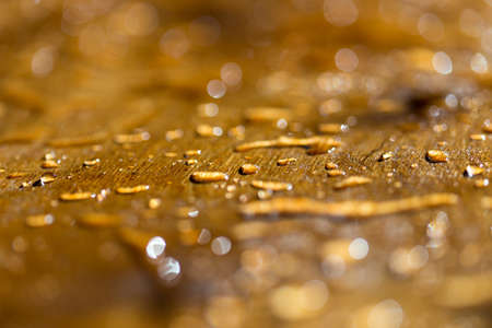 background bokeh, a drop of water golden flowers during sunsetの写真素材