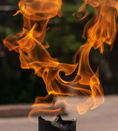 eternal flame near the monumentの写真素材