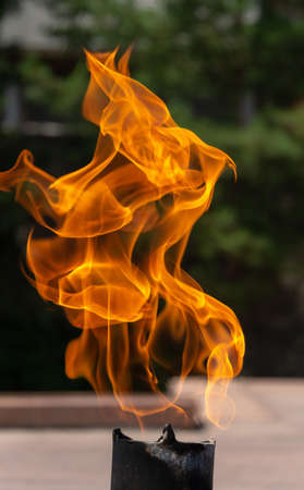 eternal flame near the monumentの写真素材