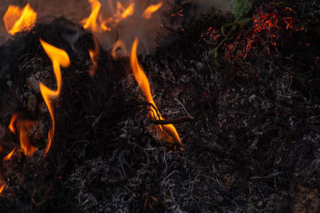 Fire burning a bunch of dry grass