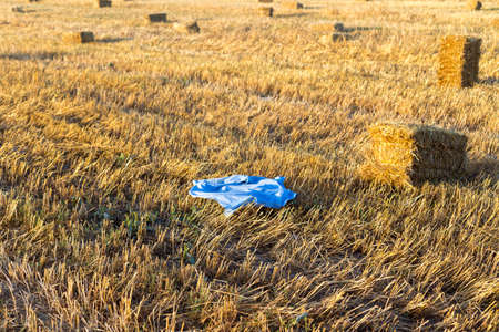 Bales of straw on a field