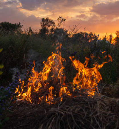 Fire burning the dry grass