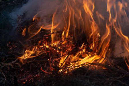 Fire burning the dry grassの写真素材