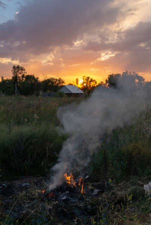 Fire burning a bunch of dry grassの写真素材