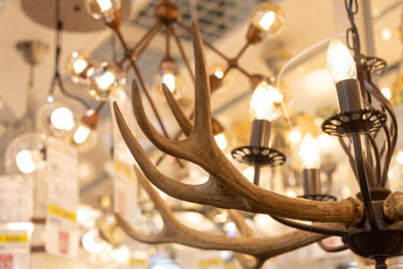 chandelier from a horn
