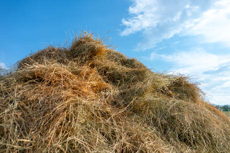 a pile of dry grass lies in the garden against the skyの写真素材