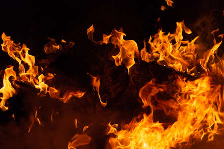 Flame of fire on a black background