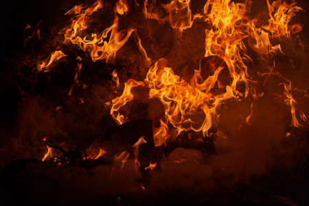 Flame of fire on a black background