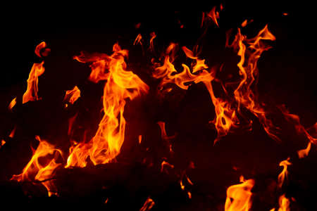 Flame of fire on a black background