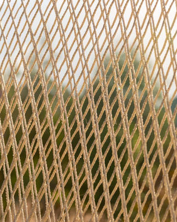 Textured fishing net backgroundの写真素材
