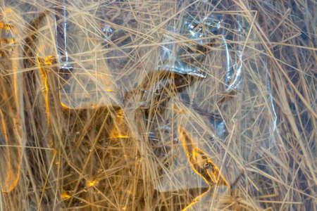 golden grass field at sunset. selective focusの写真素材