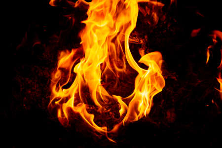 Flame of fire on a black background