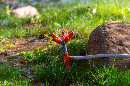 automatic garden watering sprinklerの写真素材