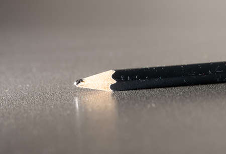 pencil on the tableの写真素材