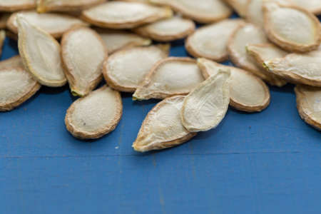 Pumpkin seeds on blue background