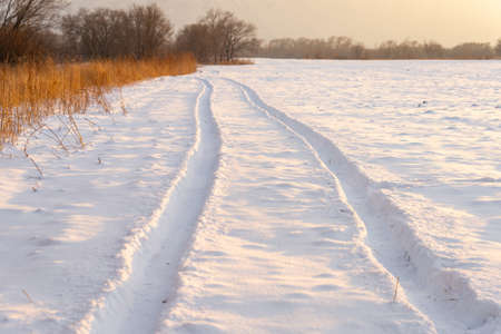 Tire track in the snow to the horizonの写真素材