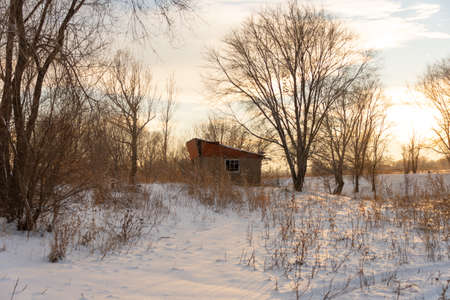 winter abandoned house in the forestの写真素材