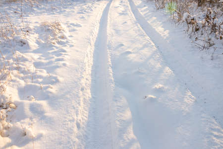 Tire track in the snow to the horizonの写真素材