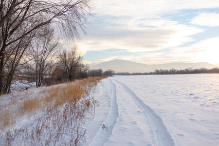 Tire track in the snow to the horizonの写真素材