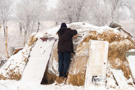 Man removes snow from the surface of hay, harvests, for cattle, winter stocks under the snowの写真素材