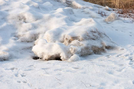 View of a thick snow.の写真素材