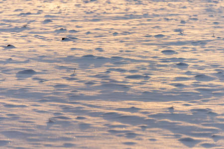 Winter background with snow texture on the sunset closeupの写真素材