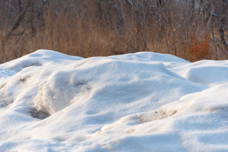 A thick of snow during winter