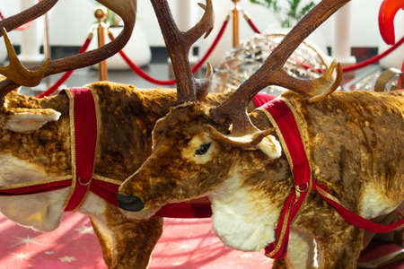 Christmas, New Year's interior and deer figureの写真素材