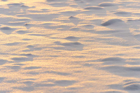 Winter background with snow texture on the sunset closeupの写真素材