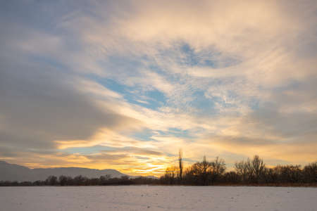 Winter landscape with frozen bare trees on a peeled agricultural field covered with frozen dry yellow grass under a blue sky during sunsetの写真素材