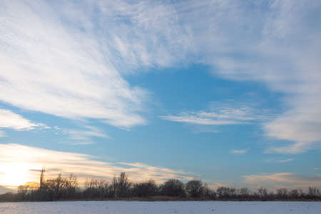 Winter landscape with frozen bare trees on a peeled agricultural field covered with frozen dry yellow grass under a blue sky during sunsetの写真素材