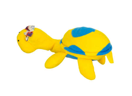 soft toy turtle on a white backgroundの写真素材