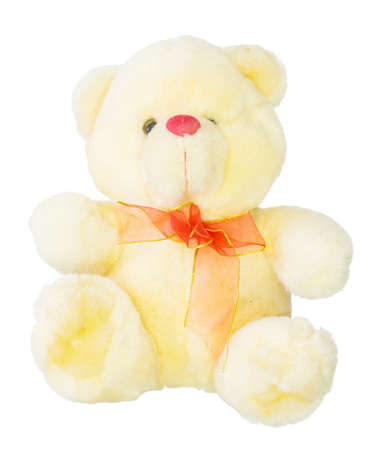 soft toy bear on white backgroundの写真素材