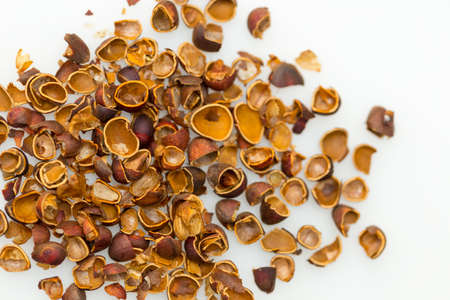 lot of pine nut peel on a white backgroundの写真素材