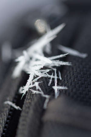 winter frost on dry grassの写真素材