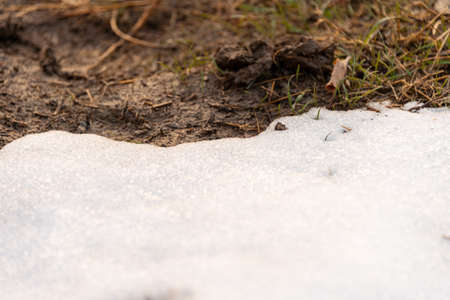 the snow is melting and the ground is under itの写真素材