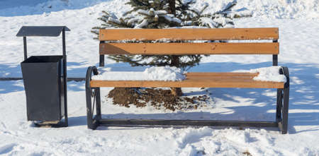 Benches in the winter city park. Snowbound. Snow covered treesの写真素材