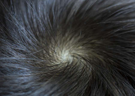 detail macro hair salon close up images of cutting hair and hair textureの写真素材