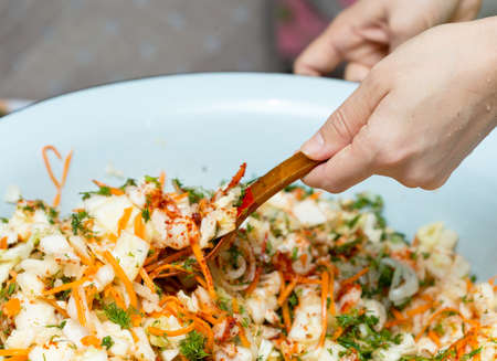 Prepare a cabbage salad and move with a spoonの写真素材