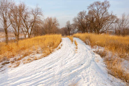 Road in snow in a yellow field in a winter or an autumn dayの写真素材