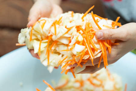 Cooking cabbage and handsの写真素材