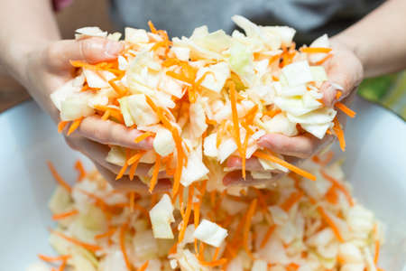 Cooking cabbage and handsの写真素材
