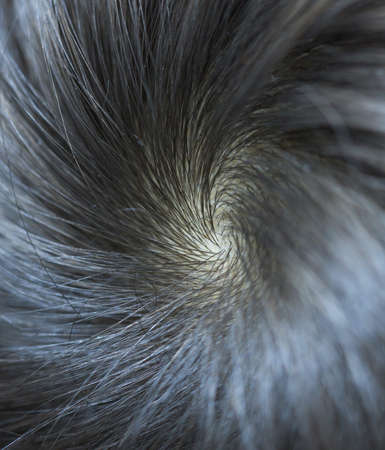 detail macro hair salon close up images of cutting hair and hair textureの写真素材