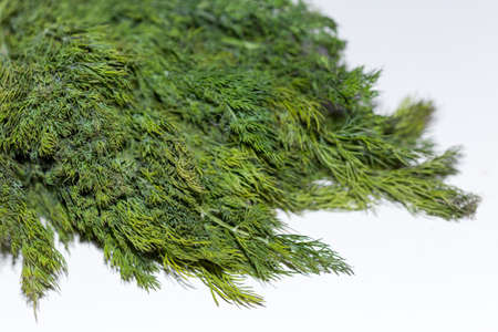 dill on white backgroundの写真素材
