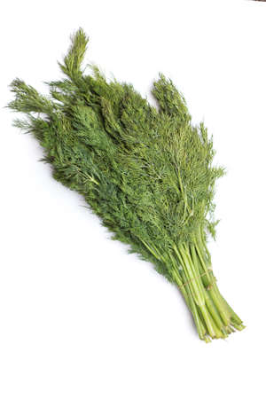 dill on white backgroundの写真素材
