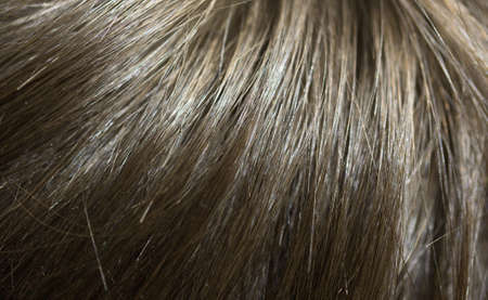 detail macro hair salon close up images of cutting hair and hair textureの写真素材